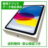 �ڥХåƥ꡼100%��iPad��11��Wi��Fi��128GB���֥롼