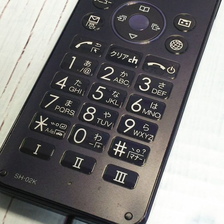 docomo SHARP �����쥹�������� SH-02K �֥롼�֥�å� �ͥ��ӡ�  296