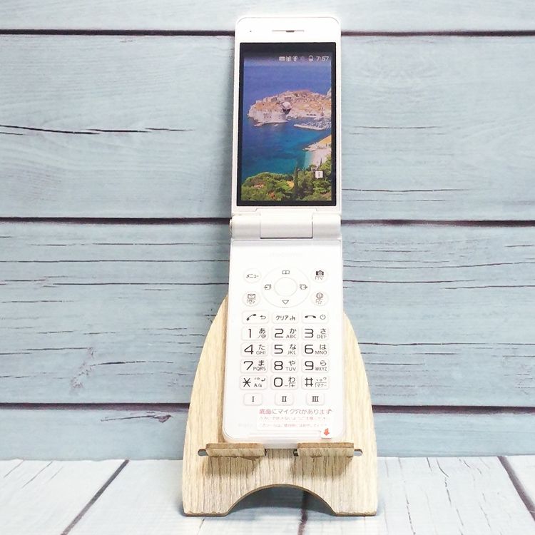 PANASONIC docomo P-smart �������� P-01J �ۥ磻��  295