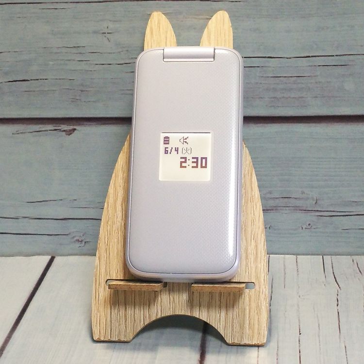 docomo ٻ 餯餯ۥ F-01M ۥ磻   664