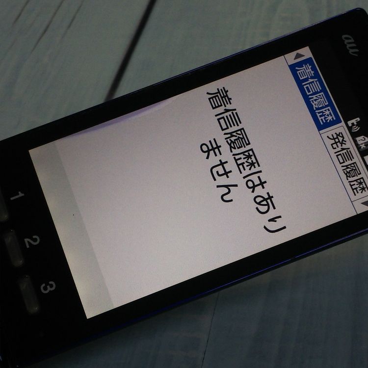 au ������ ���󤿤󥱡����� KYF38 �������֥롼 [������]  491