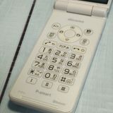 PANASONIC docomo P-smart �������� P-01J �ۥ磻��  316