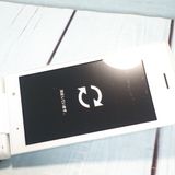 SoftBank ������ DIGNO�������� 501KC �ۥ磻��  337