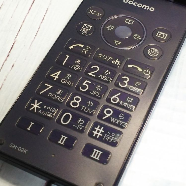 docomo SHARP �����쥹�������� SH-02K �֥롼�֥�å� �ͥ��ӡ�  208