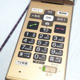 au ������ ���󤿤󥱡����� KYF38 �����ѥ󥴡����  748