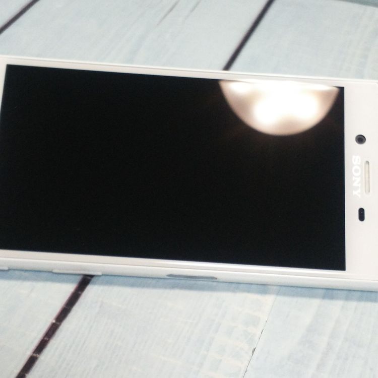 docomo Xperia X Compact SO-02J �ۥ磻��  422