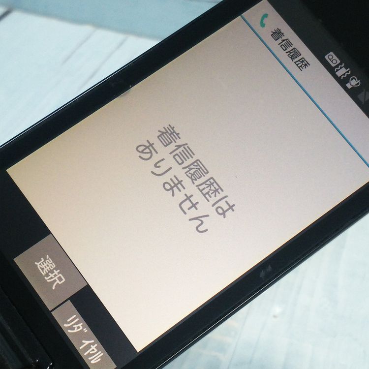 docomo Panasonic P-smart �������� P-01J �֥�å�  283