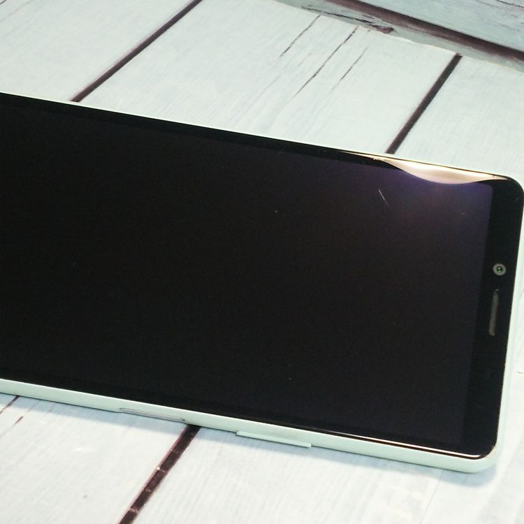 docomo Xperia 10 II SO-41A �ߥ�� [������]  509