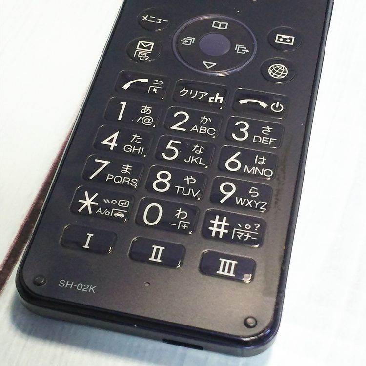 docomo SHARP �����쥹�������� SH-02K �֥롼�֥�å� �ͥ��ӡ�  215