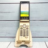 au 京セラ かんたんケータイ KYF38 シャンパンゴールド 579