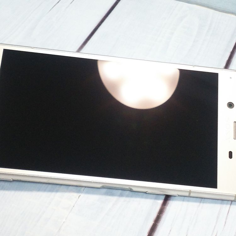 docomo Xperia XZ1 SO-01K Warm Silver  349
