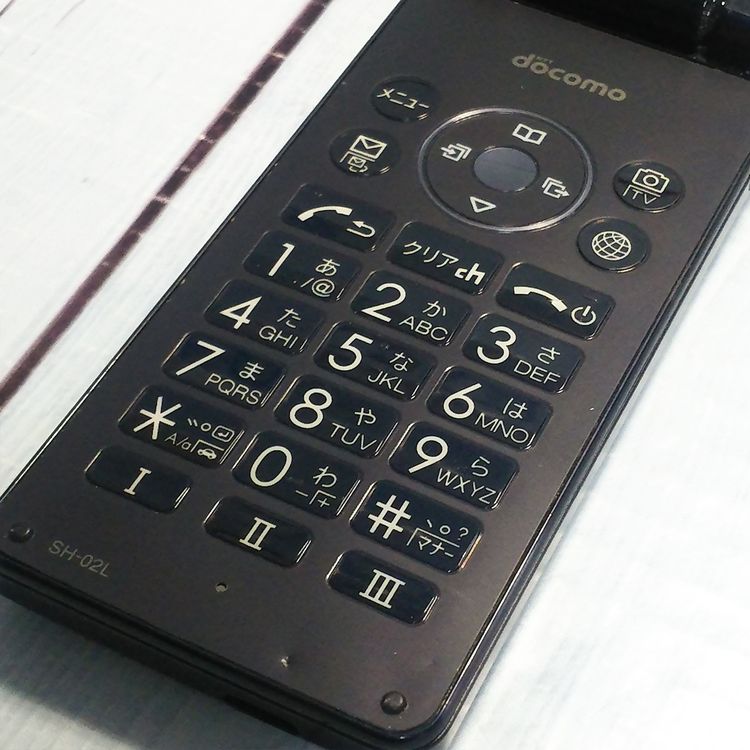 docomo SH-02L AQUOS SHARP �������� �֥�å� [������]  409