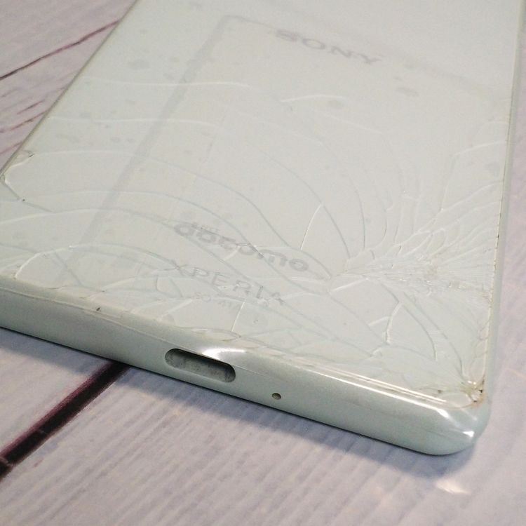 docomo Xperia 10 II SO-41A �ߥ�� [������]  509