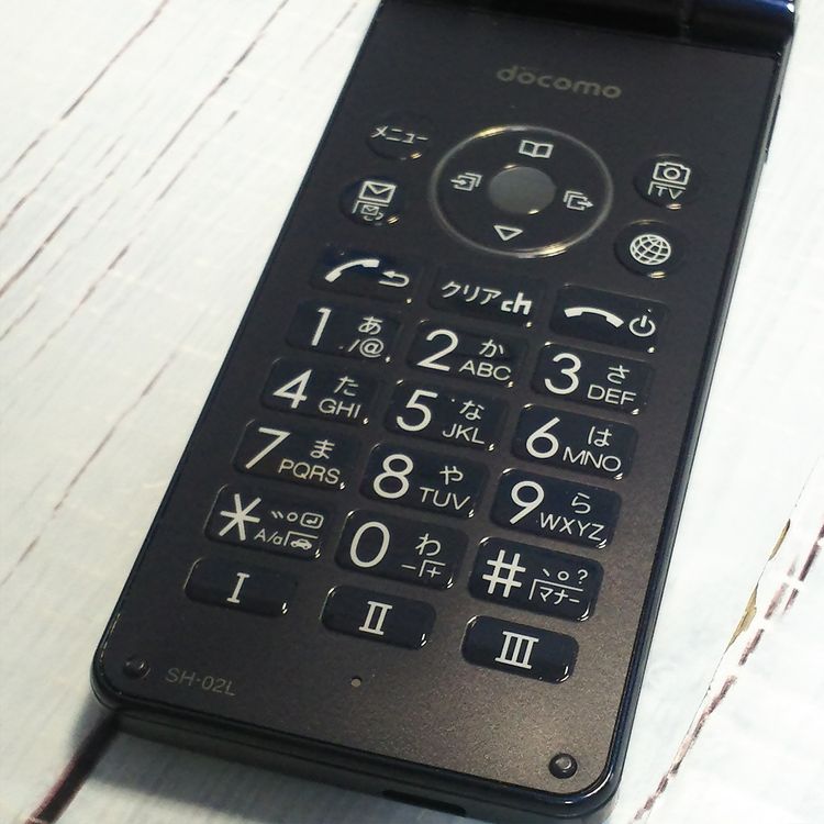 docomo SH-02L AQUOS SHARP �������� �֥�å�  318