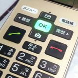 KYOCERA au KYF36 ���󤿤󥱡����� GOLD  701