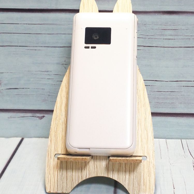 PANASONIC docomo P-smart �������� P-01J �ۥ磻��  295