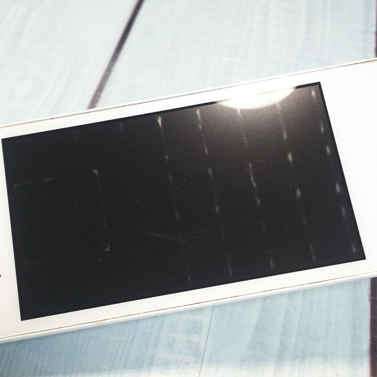 SoftBank ������ DIGNO�������� 501KC �ۥ磻��  039