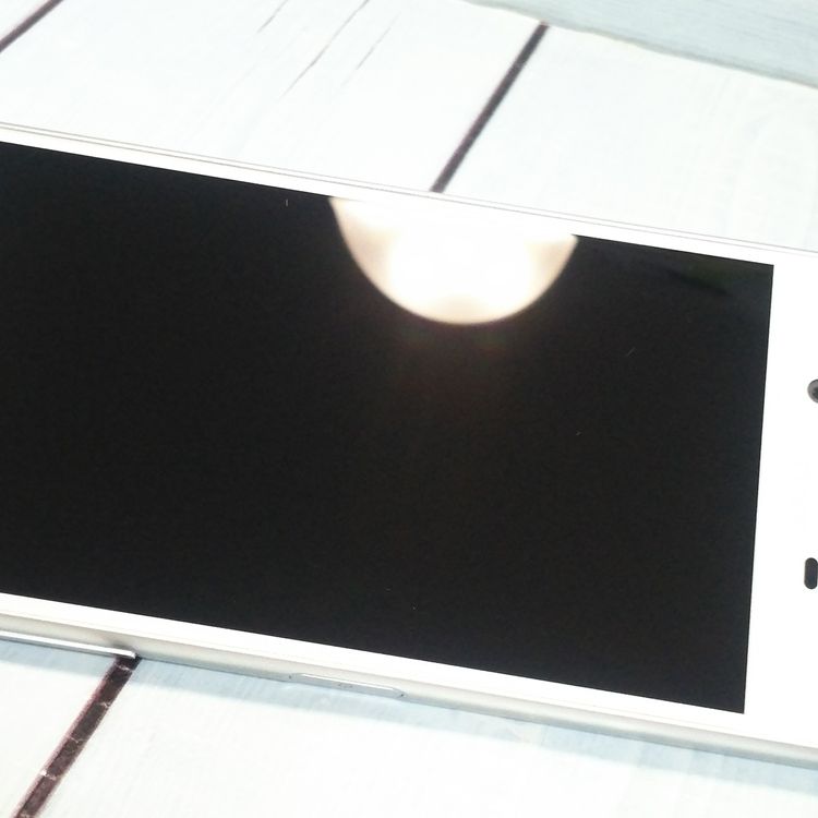 docomo Xperia X Performance SO-04H �ۥ磻�� ����С�  553