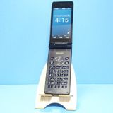 docomo SHARP SH-03L �֥�å� �ӥ��ͥ����� �����쥹��������  374