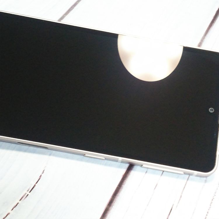 docomo AQUOS sense7 SH-53C 饤ȥåѡ   186
