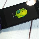 docomo SHARP �����쥹�������� SH-02K �֥롼�֥�å� �ͥ��ӡ�  529