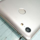 FREETEL RAIJIN �ۥ磻�� ���  453