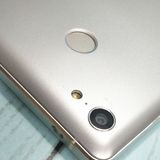 FREETEL RAIJIN �ۥ磻�� ���  756