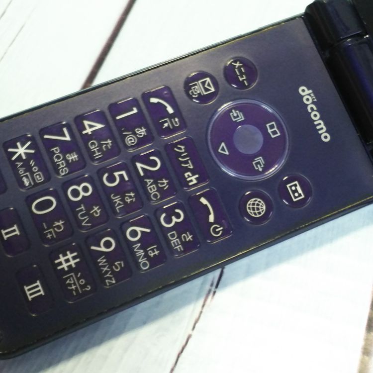 docomo SHARP �����쥹�������� SH-02K �֥롼�֥�å� �ͥ��ӡ�  349