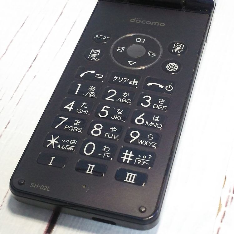 docomo SH-02L AQUOS SHARP �������� �֥�å�  495