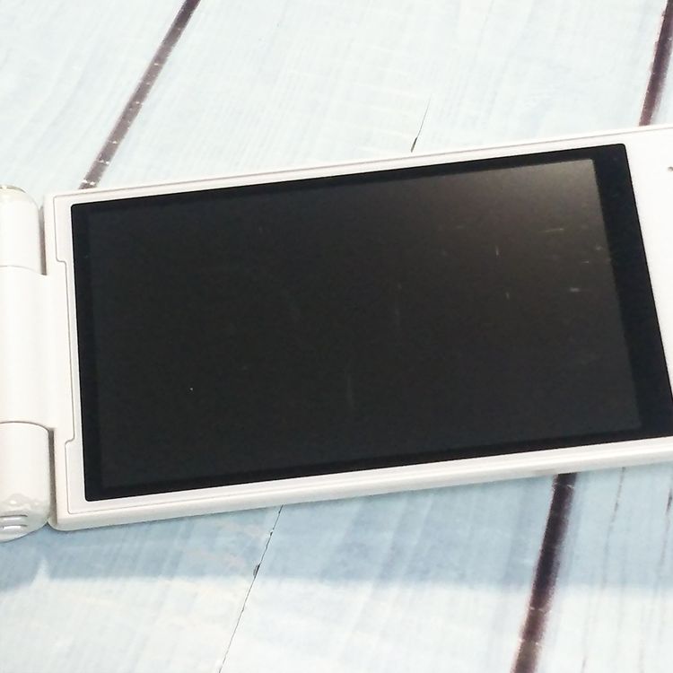 PANASONIC docomo P-smart �������� P-01J �ۥ磻��  515