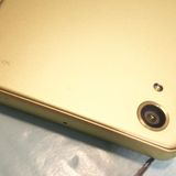 docomo Xperia X Performance SO-04H �饤�ॴ�����  803