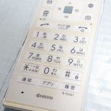 SoftBank ������ DIGNO�������� 501KC �ۥ磻��  242