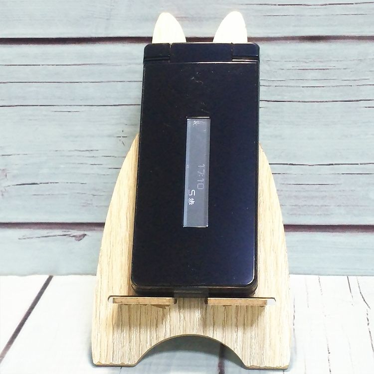 docomo SH-02L AQUOS SHARP �������� �֥�å�  596
