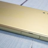 au Xperia X Perfomance SOV33 �饤�ॴ����� ��������  314