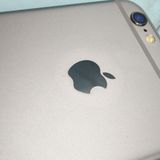 au iPhone6 16GB ���ڡ������졼 [������] 100