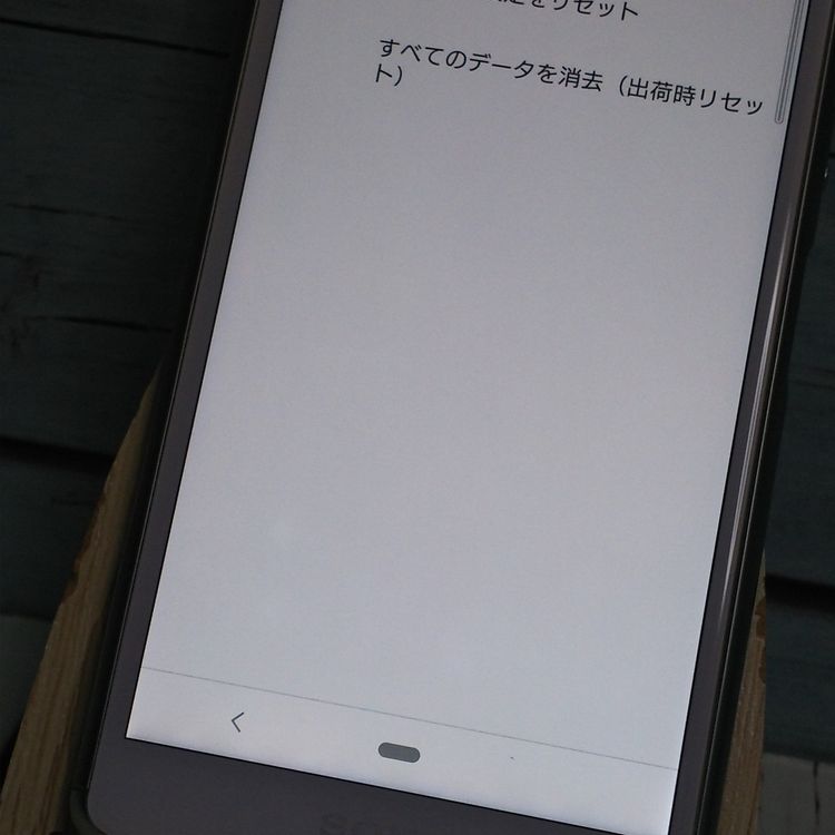 docomo Xperia Ace SO-02L �ۥ磻��  170