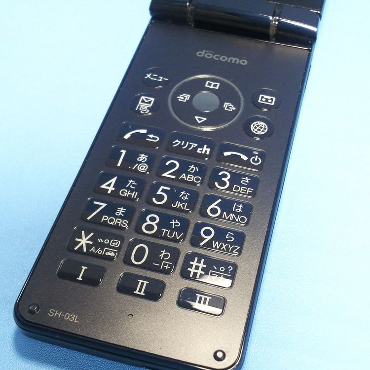 docomo SHARP SH-03L �֥�å� �ӥ��ͥ����� �����쥹��������  409