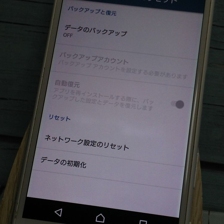 docomo Xperia X Compact SO-02J �ۥ磻��  034