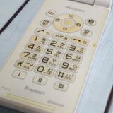 PANASONIC docomo P-smart �������� P-01J [������]  789