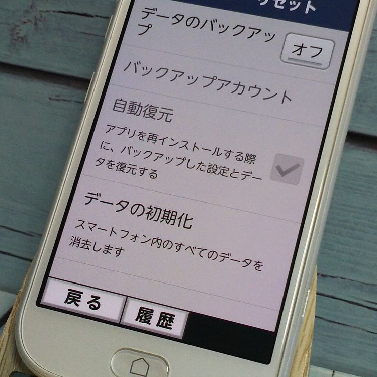 docomo 餯餯ޡȥե F-42A ۥ磻  495