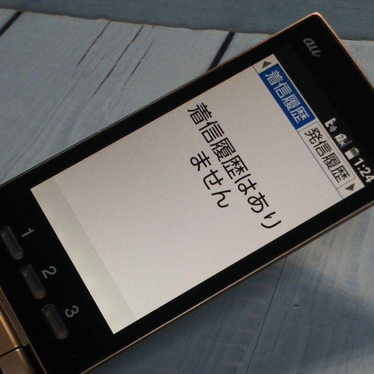 au ������ ���󤿤󥱡����� KYF38 �����ѥ󥴡����  770