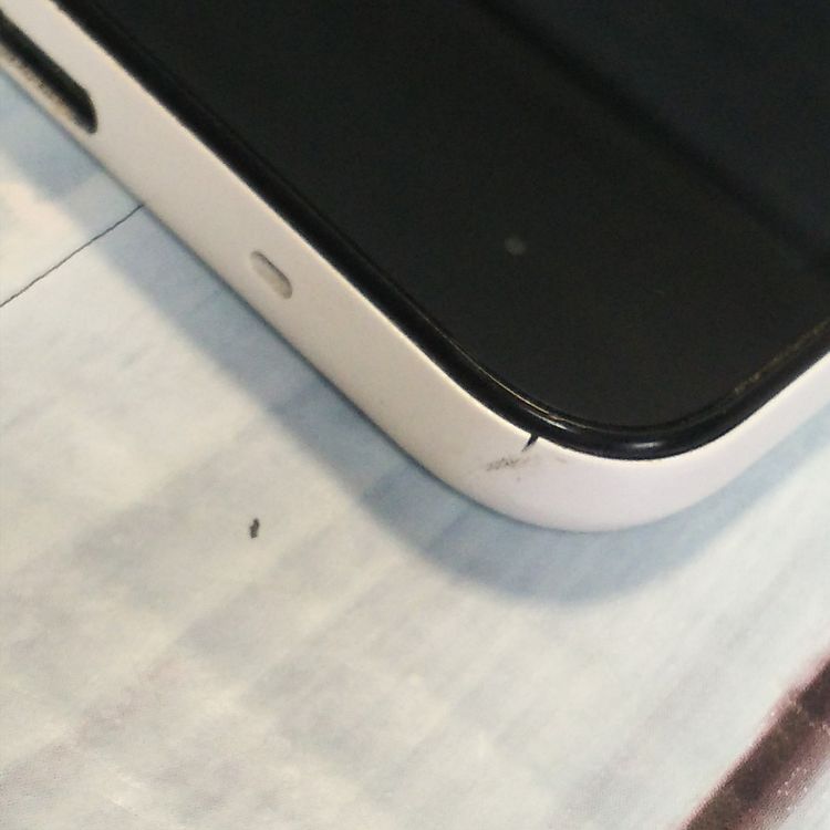 SHARP Softbank AQUOS sense basic 702SH ۥ磻  860