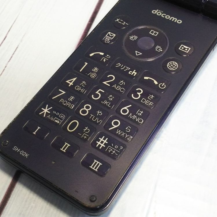 docomo SHARP �����쥹�������� SH-02K �֥롼�֥�å� �ͥ��ӡ�  737