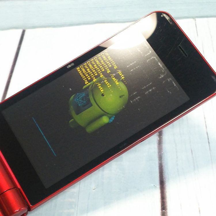 docomo ARROWS �������� F-05G��å� �ٻ���  420