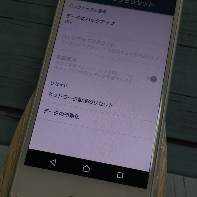 docomo Xperia X Compact SO-02J �ۥ磻��  422