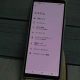 docomo Xperia 10 II SO-41A �ߥ�� [������]  285