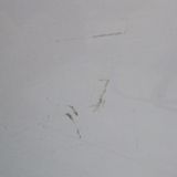 Lenovo SoftBank Lenovo TAB3 601LV �ۥ磻�� �ۤܿ��� 547