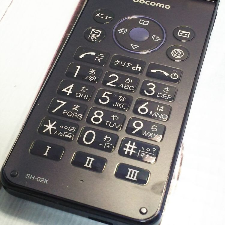 docomo SHARP �����쥹�������� SH-02K �֥롼�֥�å� �ͥ��ӡ�  191