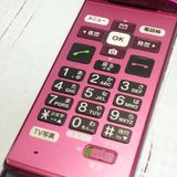au ������ ���󤿤󥱡����� KYF38 �磻���å�  737