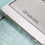 FREETEL RAIJIN �ۥ磻�� ���  203